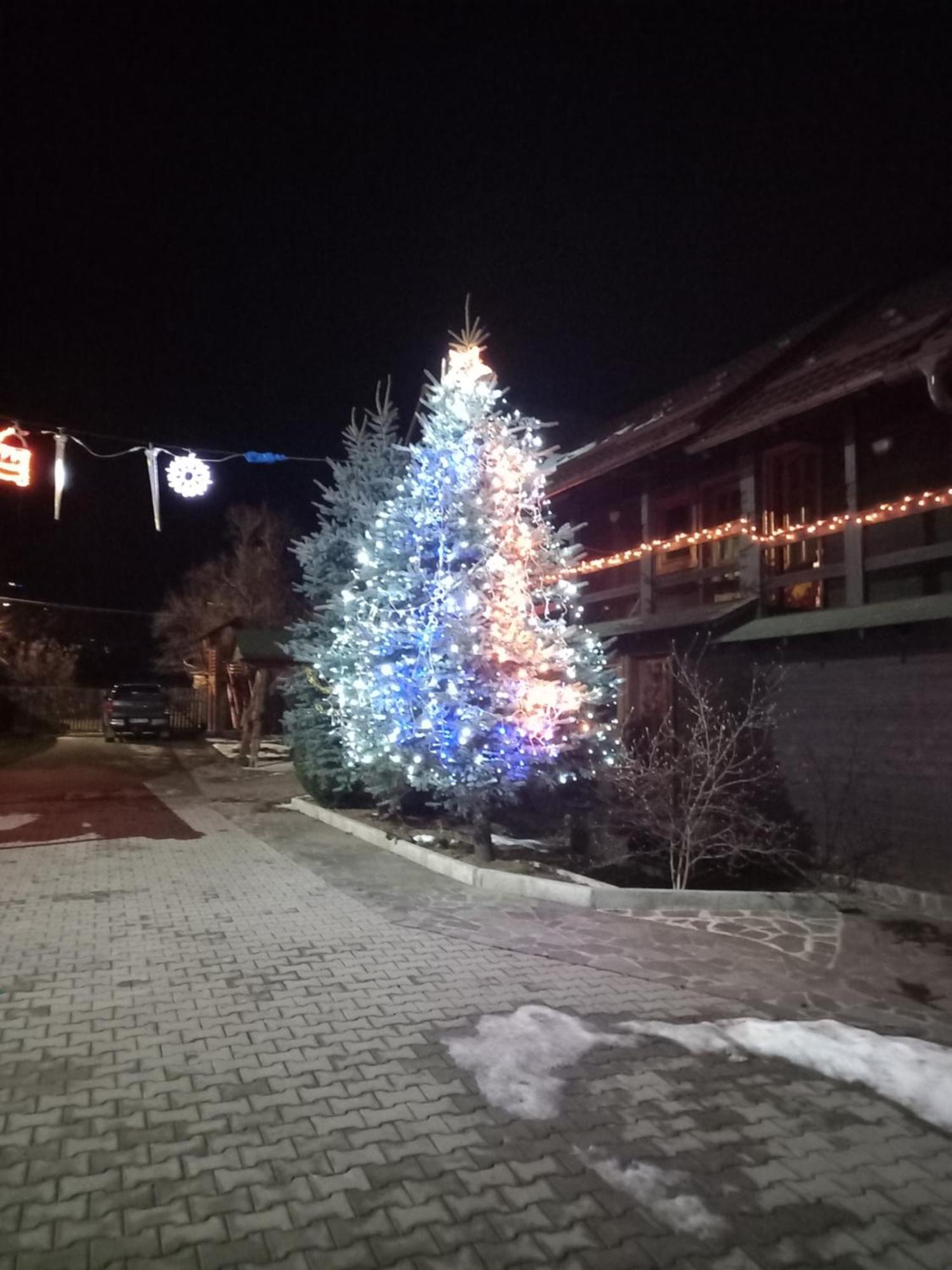 Pensiunea Poiana Борша Екстер'єр фото